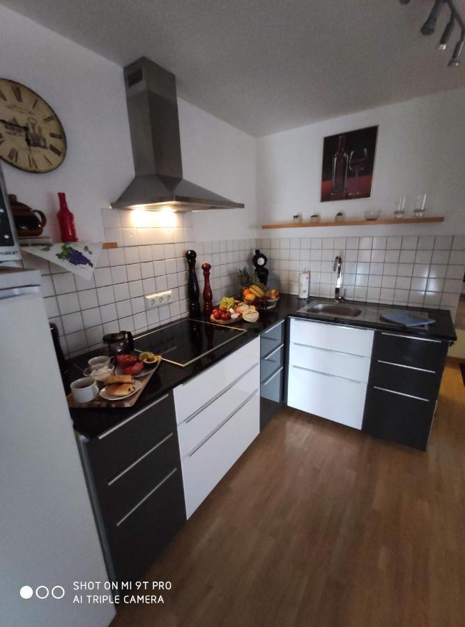 Apartment Wesseling Nauerz Zewnętrze zdjęcie