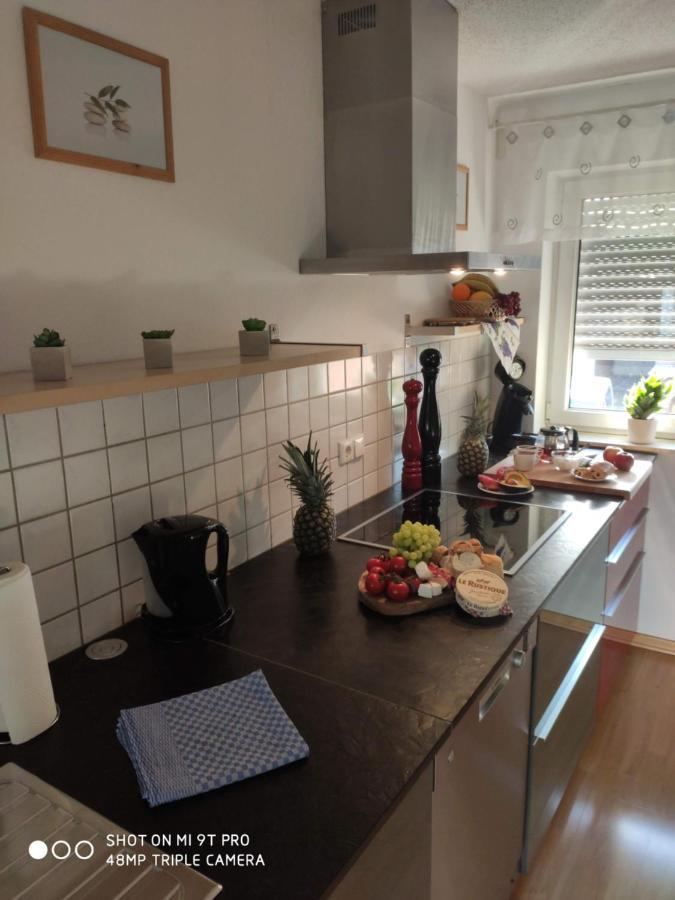 Apartment Wesseling Nauerz Zewnętrze zdjęcie